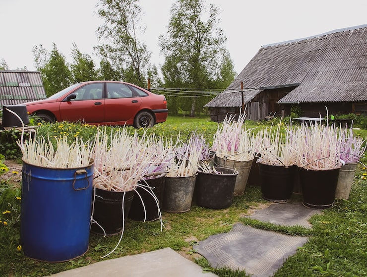 Зоны отдыха: создание альпийской горки и беседки